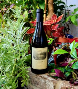 איך לבחור את היין האדום המתאים לארוחה בשרית?