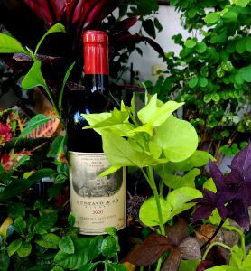 מה עושה את קברנה סובניון ליין האדום המושלם?